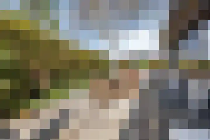 Emmalaan 3 Wognum thumbnail 45