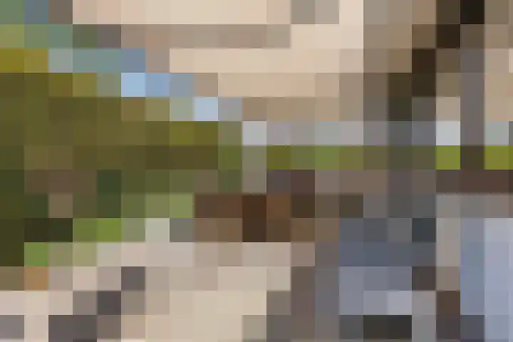 Emmalaan 3 Wognum thumbnail 46