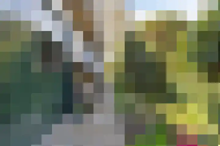 Emmalaan 3 Wognum thumbnail 48