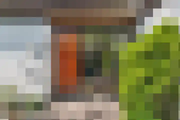 Emmalaan 3 Wognum thumbnail 8