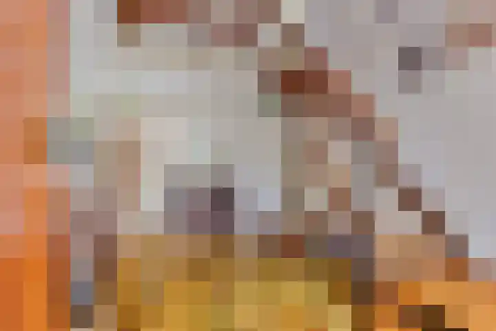 Emmalaan 3 Wognum thumbnail 9