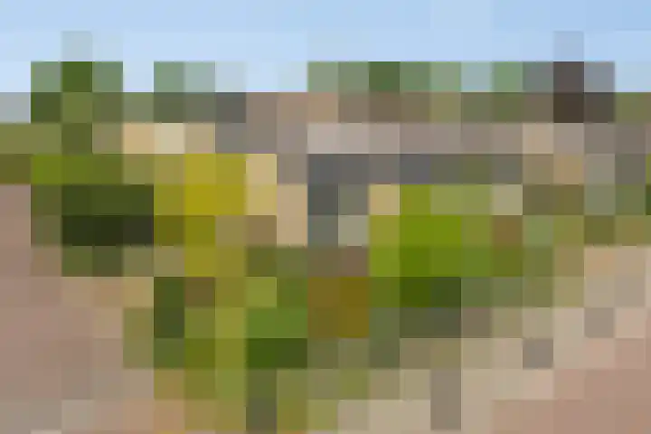 Emmalaan 39 dans Heerde