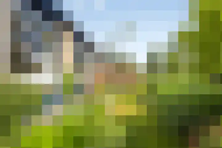 Emmalaan 39 Heerde thumbnail 18