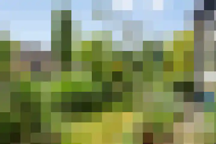 Emmalaan 39 Heerde thumbnail 19