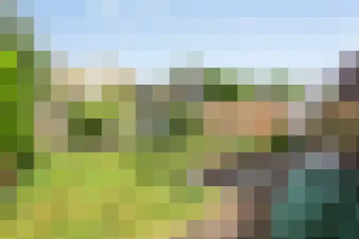 Emmalaan 39 Heerde thumbnail 20