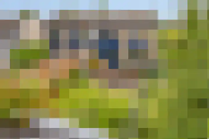 Emmalaan 39 Heerde thumbnail 24