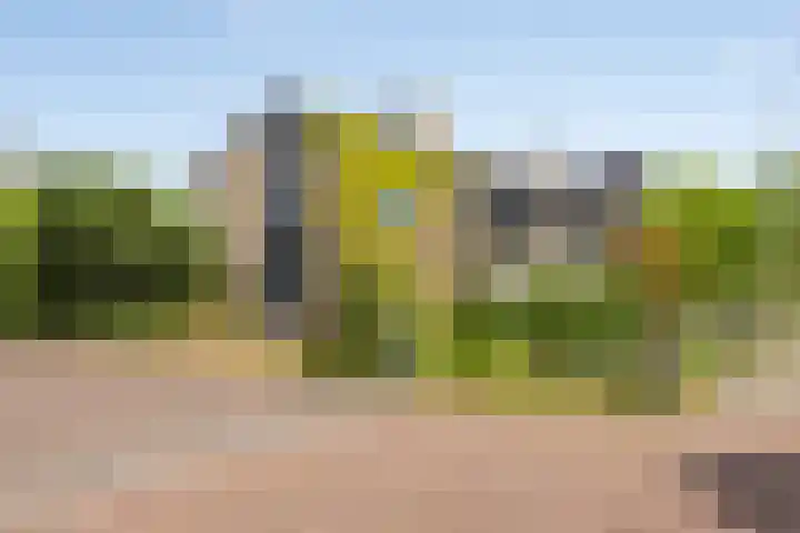 Emmalaan 39 Heerde thumbnail 29