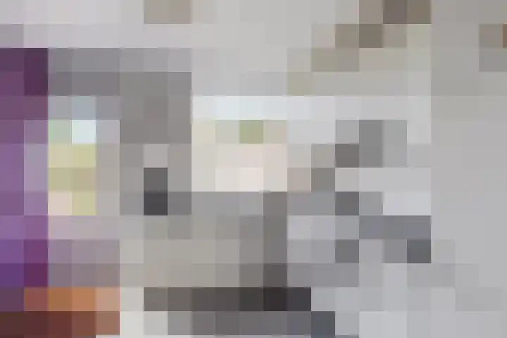 Emmalaan 39 Heerde thumbnail 8