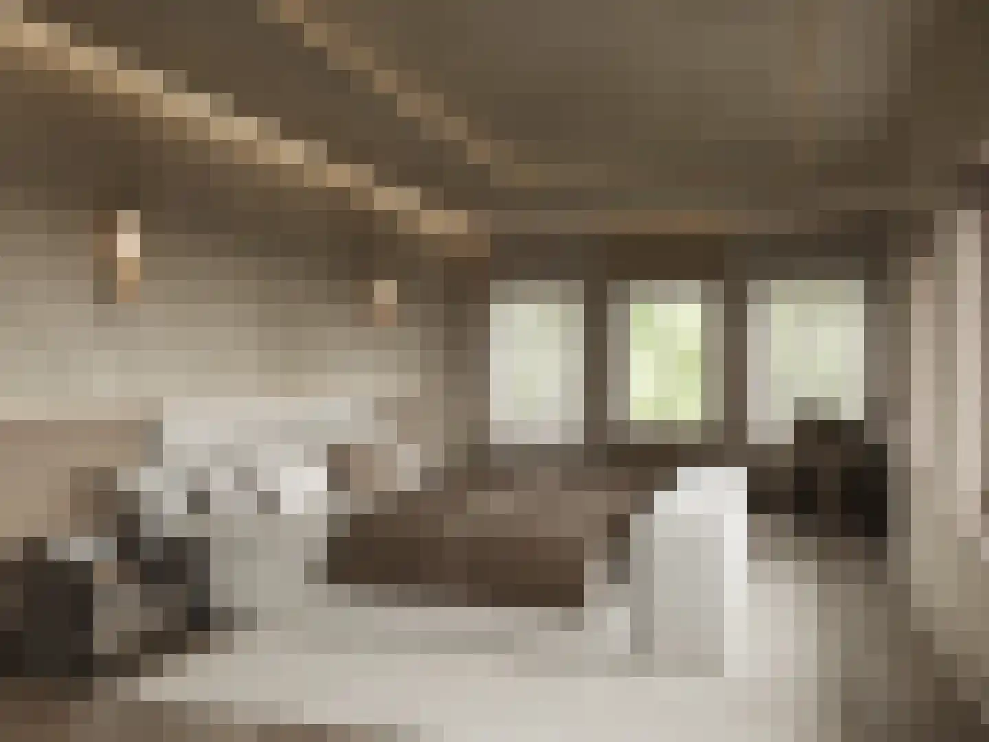 Emmalaan 4 B Amsterdam thumbnail 6