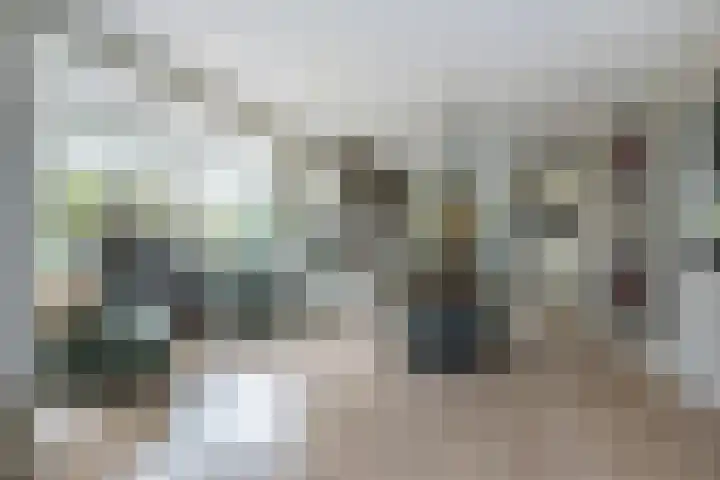 Emmalaan 5 a Dirksland thumbnail 12