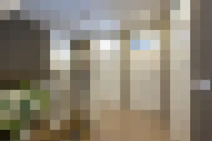 Emmalaan 5 a Dirksland thumbnail 19