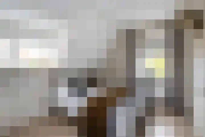 Emmalaan 5 a Dirksland thumbnail 21