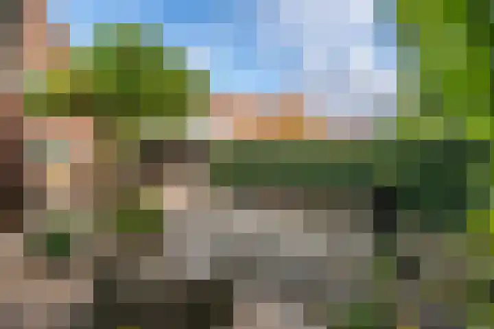 Emmalaan 5 a Dirksland thumbnail 39