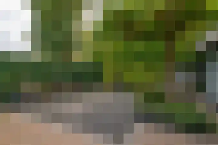 Emmalaan 5 a Dirksland thumbnail 42