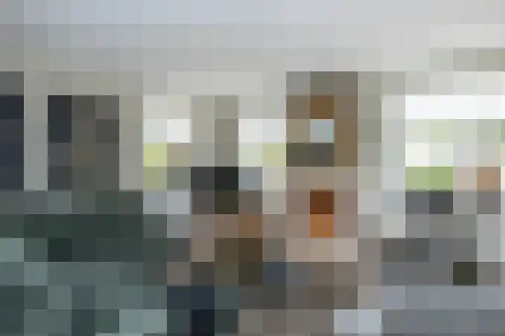 Emmalaan 5 a Dirksland thumbnail 8
