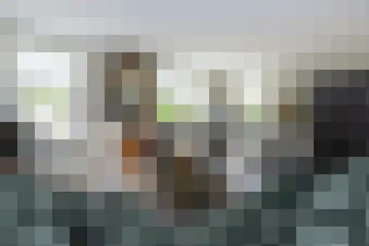Emmalaan 5 a Dirksland thumbnail 9