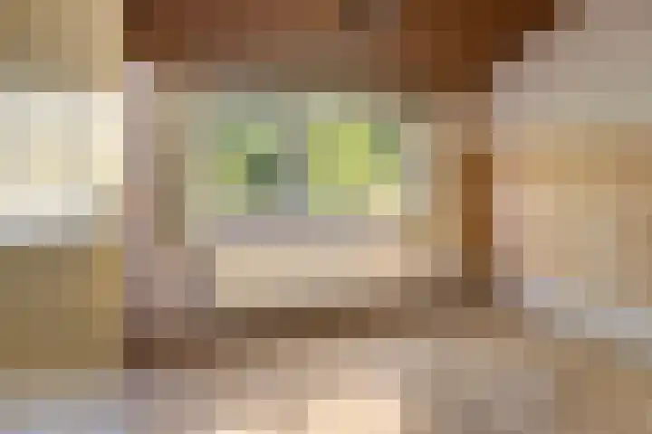 Emmalaan 57 Heerde thumbnail 23