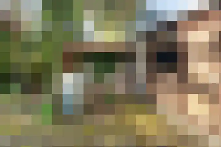 Emmalaan 57 Heerde thumbnail 27