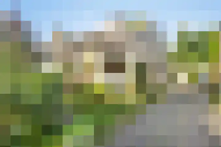 Emmalaan 57 Heerde thumbnail 34