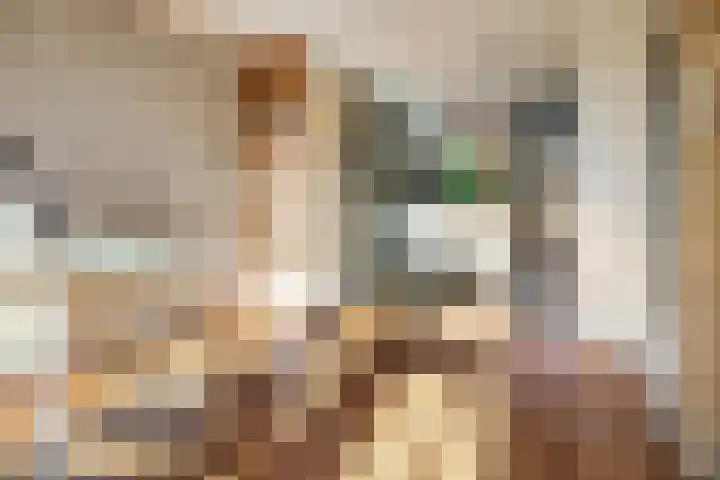 Emmalaan 57 Heerde thumbnail 5