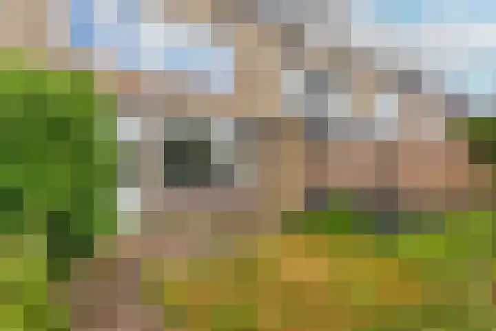 Emmalaan 6 B Baarn thumbnail 43