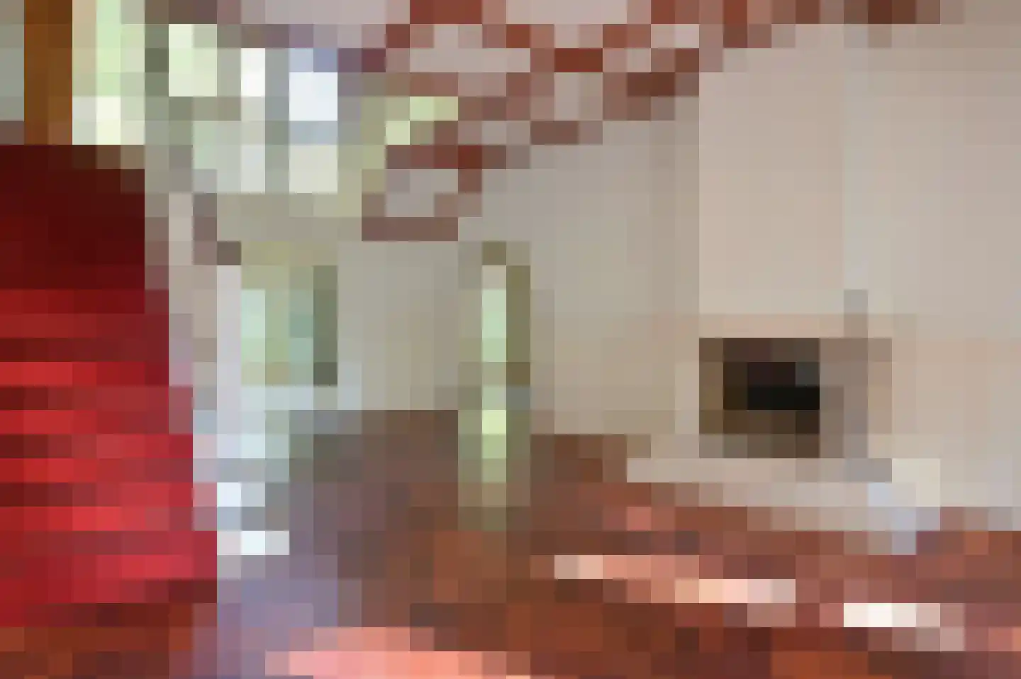 Emmalaan 6 B Baarn thumbnail 5