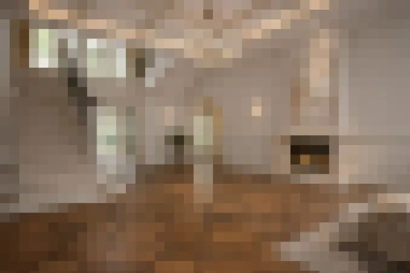 Emmalaan 6 B Baarn thumbnail 6