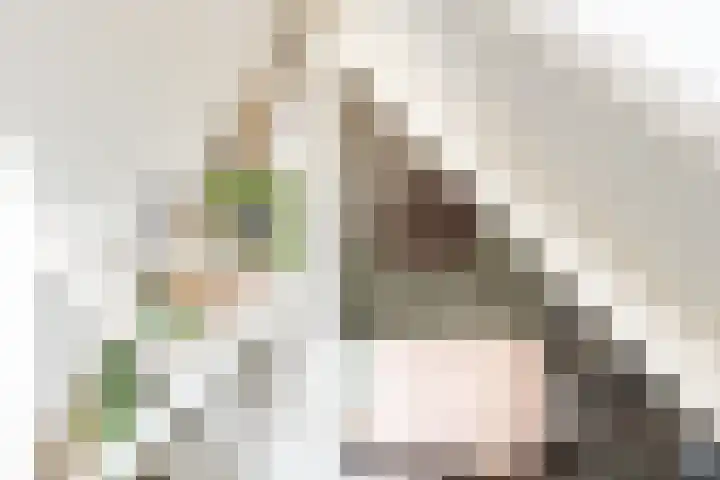 Emmalaan 6 Baarn thumbnail 26
