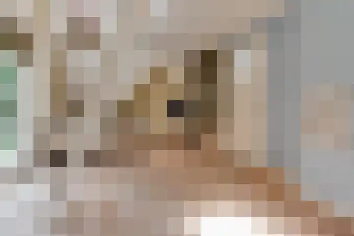 Emmalaan 6 Baarn thumbnail 28
