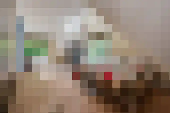 Emmalaan 6 Baarn thumbnail 29