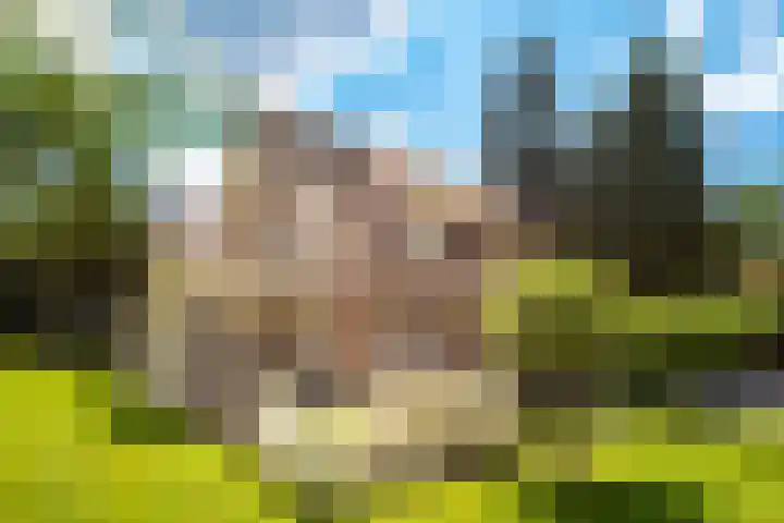 Emmalaan 6 Baarn thumbnail 39