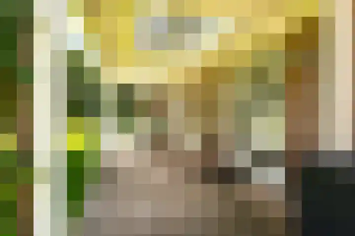 Emmalaan 6 Baarn thumbnail 40