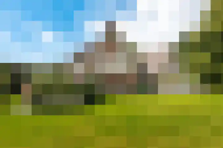 Emmalaan 6 Baarn thumbnail 41