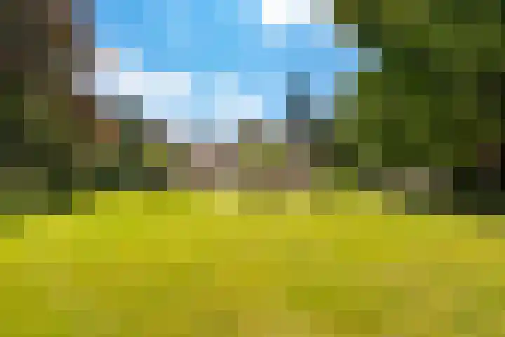 Emmalaan 6 Baarn thumbnail 42