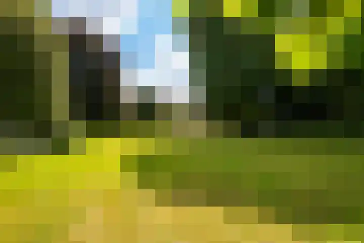 Emmalaan 6 Baarn thumbnail 43