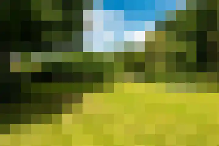 Emmalaan 6 Baarn thumbnail 44