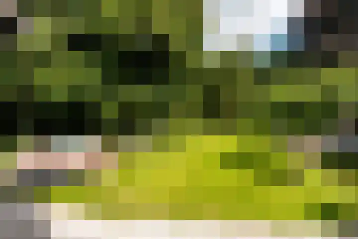 Emmalaan 6 Baarn thumbnail 45