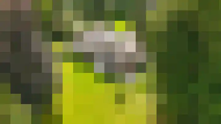 Emmalaan 6 Baarn thumbnail 46