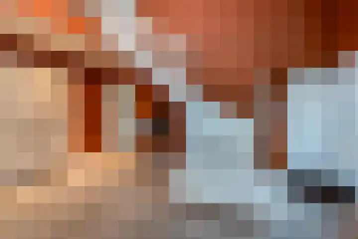 Emmalaan 6 Baarn thumbnail 5