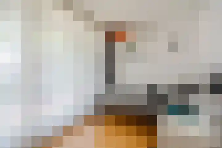 Emmalaan 6 Geldrop thumbnail 22