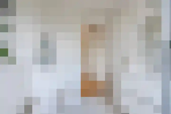 Emmalaan 6 Geldrop thumbnail 26