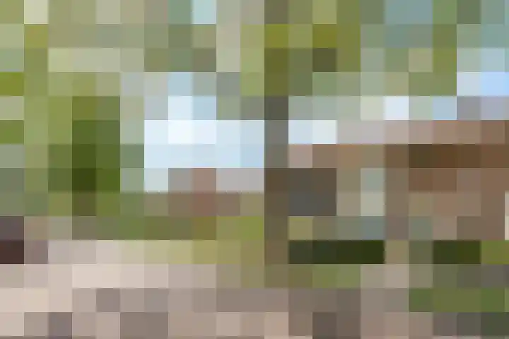 Emmalaan 6 Geldrop thumbnail 40