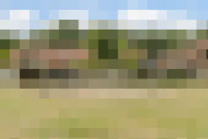 Emmalaan 6 Geldrop thumbnail 41