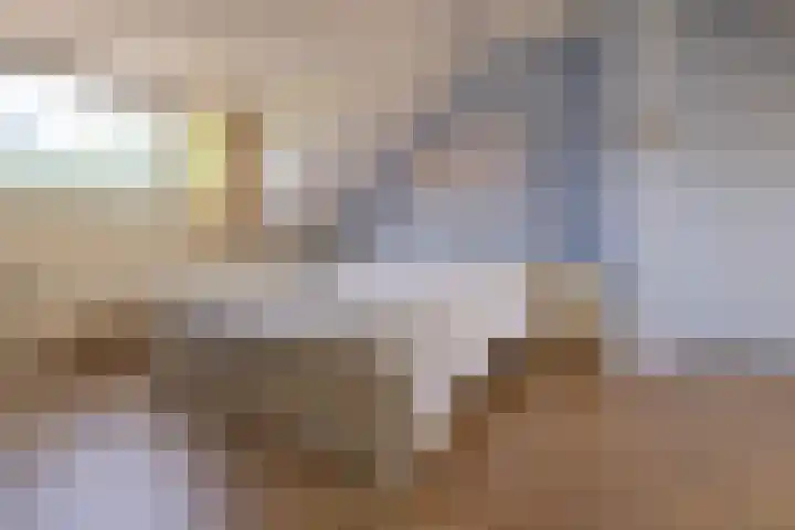 Emmalaan 66 Woubrugge thumbnail 18