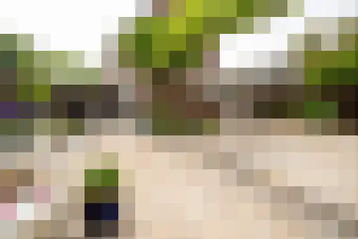 Emmalaan 66 Woubrugge thumbnail 20