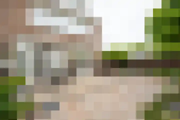 Emmalaan 66 Woubrugge thumbnail 23