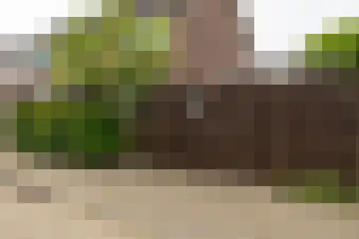 Emmalaan 66 Woubrugge thumbnail 30