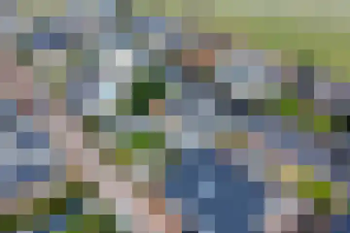 Emmalaan 7 Kaag thumbnail 14