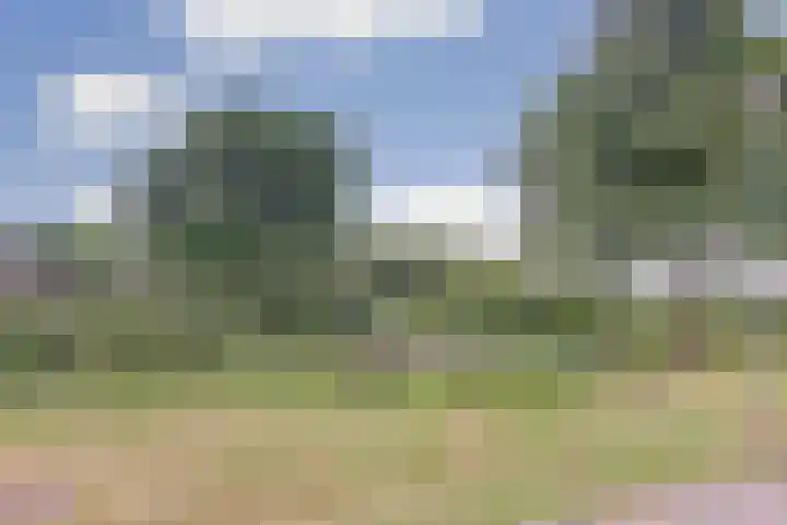 Emmalaan 7 Kaag thumbnail 15