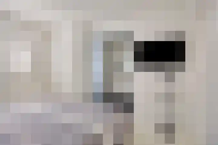 Emmalaan 7 Kaag thumbnail 20